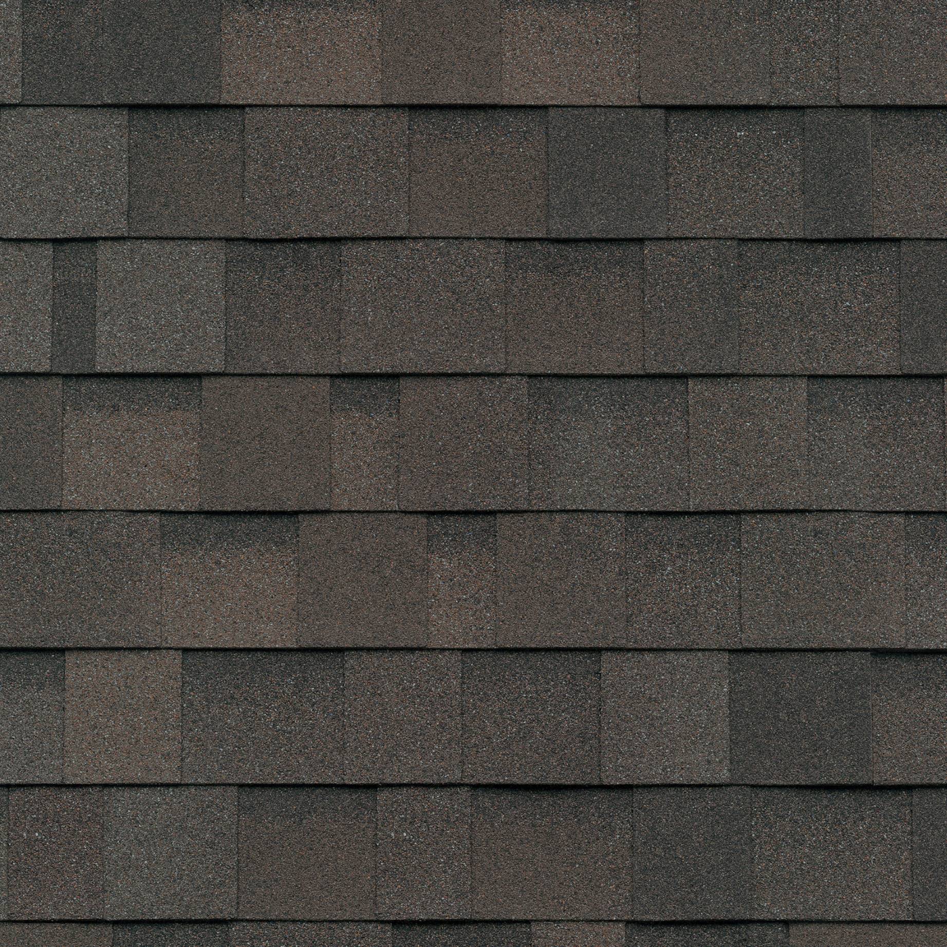 Shingle Roofing | Gryphon Roofing & Construction